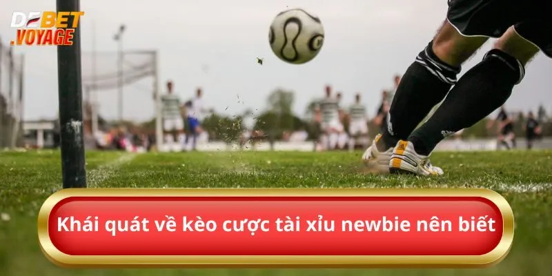 Khái quát về kèo cược tài xỉu newbie nên biết