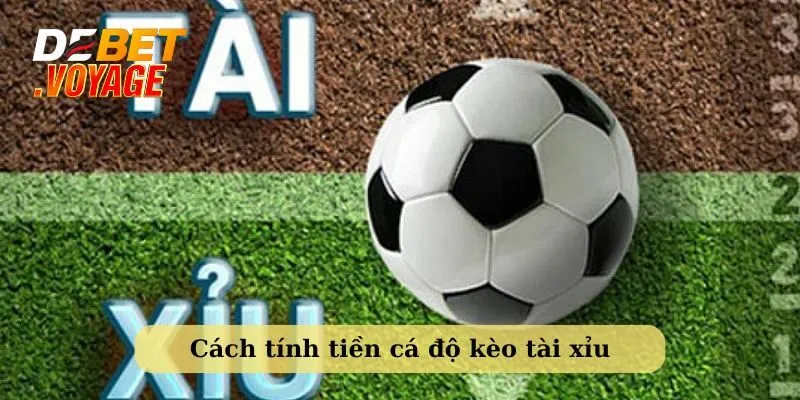 Cách tính tiền cá độ kèo cược tài xỉu