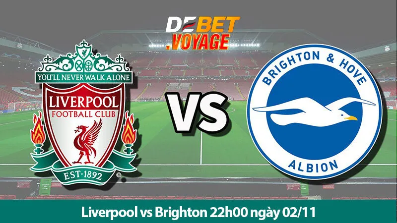 Soi kèo vàng trận Liverpool vs Brighton 22h00 ngày 02/11