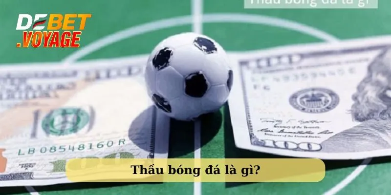 Tìm hiểu về thầu bóng đá