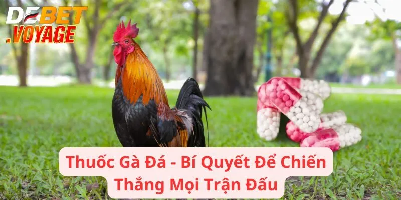 Thuốc Gà Đá - Bí Quyết Để Chiến Thắng Mọi Trận Đấu