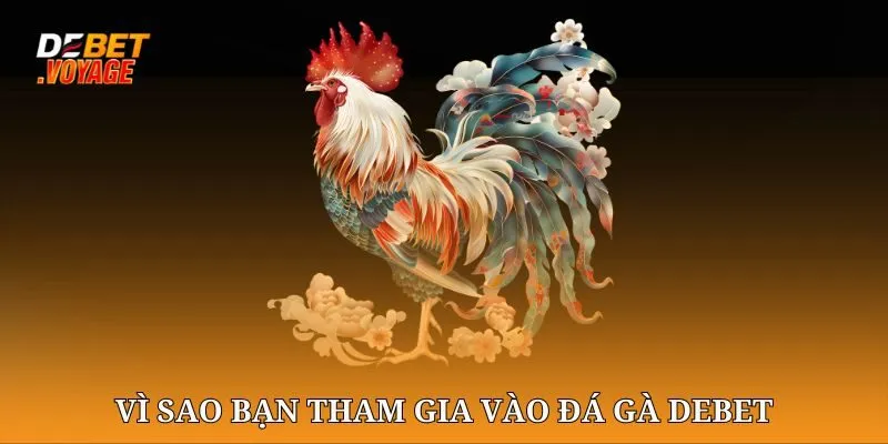 Vì sao bạn tham gia vào Đá gà chọi DEBET?